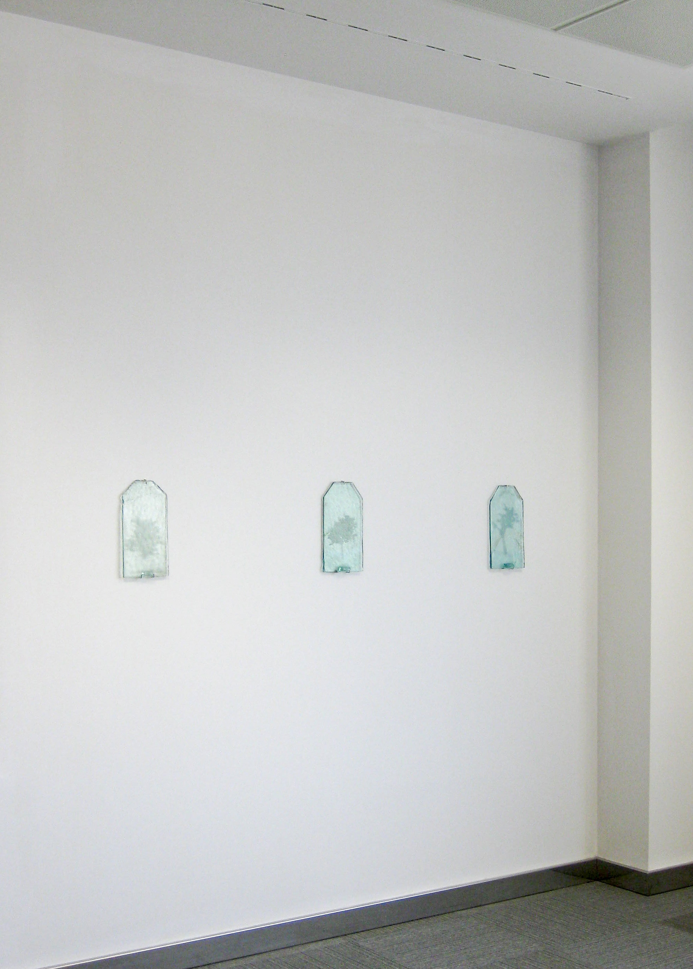 A single glass tile with an engraved tree, held up to the light.