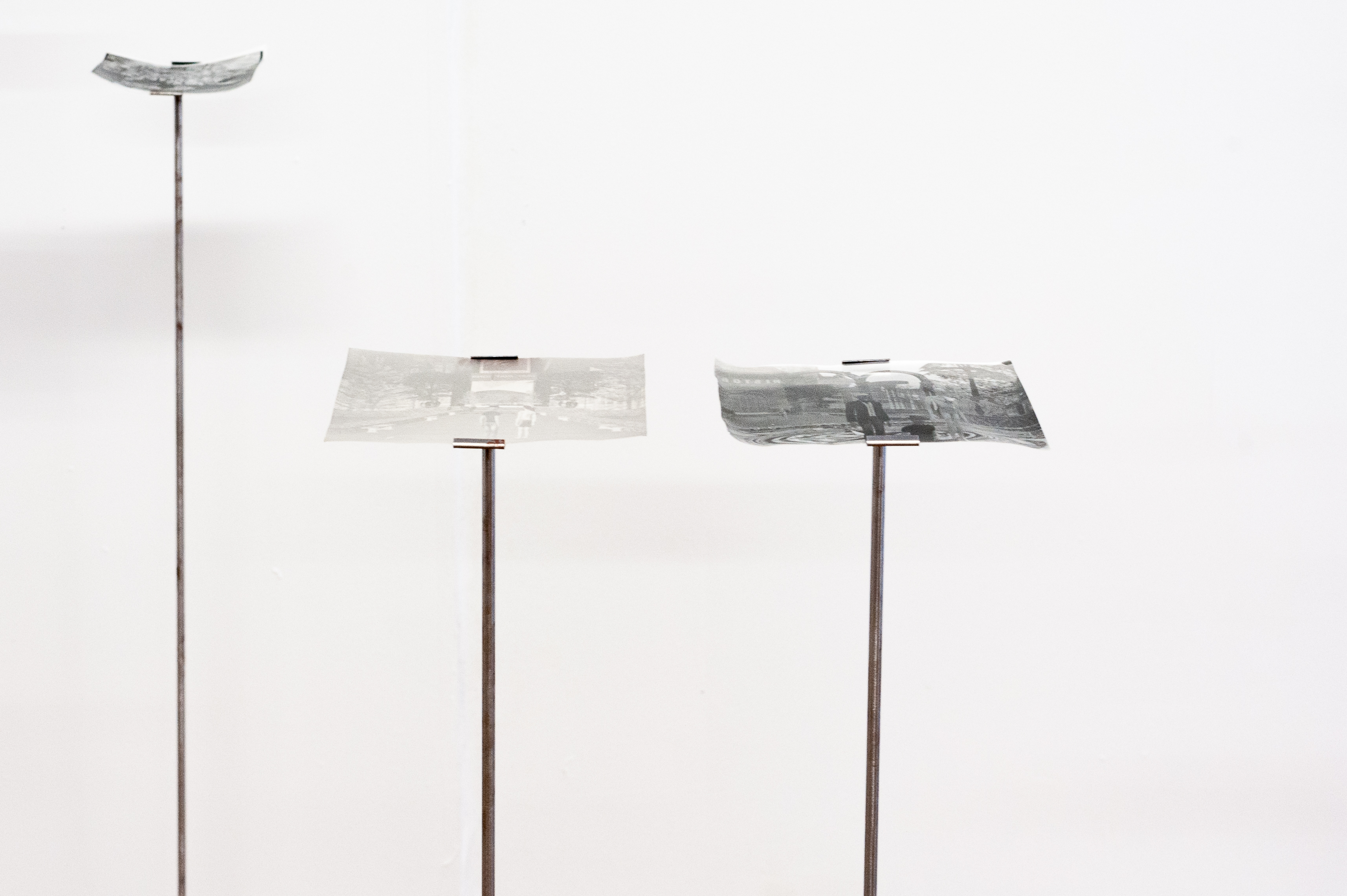 A slightly warped, analog black and white photograph showing a digital landscape with a large tree and a floating island.