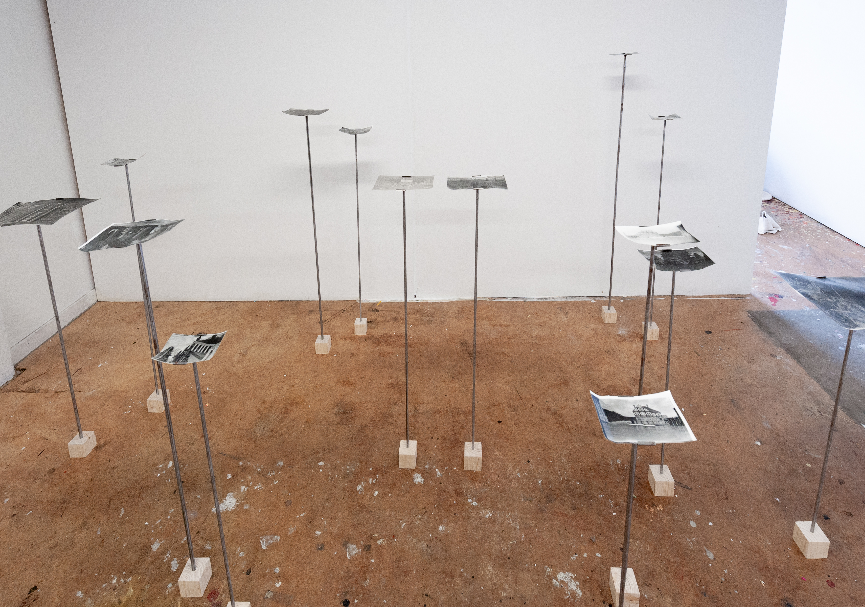 Installation view showing the photographs displayed on a wall in a gallery setting.